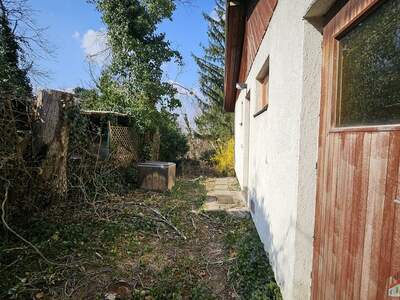 Grundstück kaufen in 3424 Wolfpassing (Bild 5)