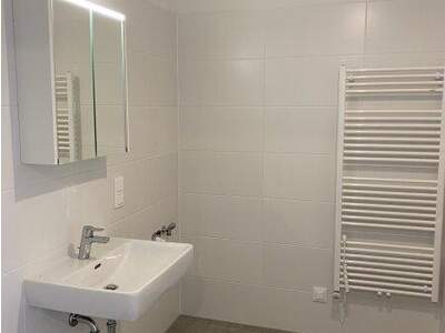 Terrassenwohnung mieten in 1220 Wien (Bild 3)