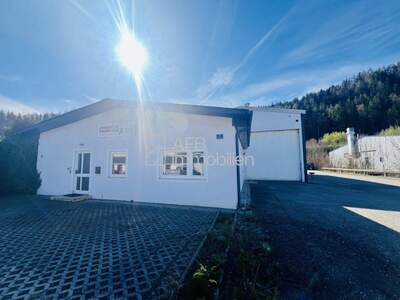 Gewerbeobjekt mieten in 8700 Leoben (Bild 4)
