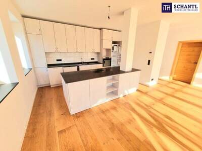 Terrassenwohnung mieten in 1210 Wien (Bild 2)