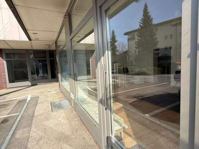 Gewerbeobjekt mieten in 4600 Thalheim (Bild 4)