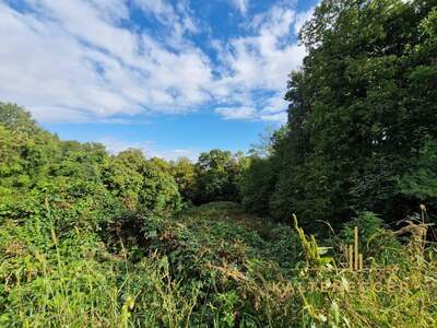 Grundstück kaufen in 7033 Pöttsching