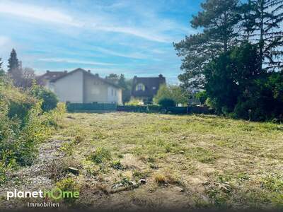 Grundstück kaufen in 2103 Langenzersdorf (Bild 4)