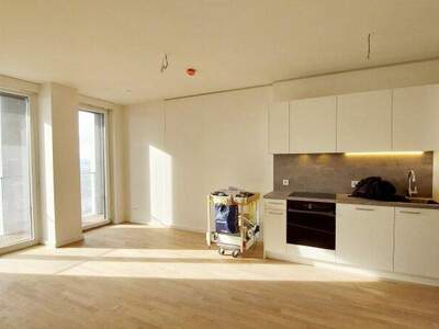 Terrassenwohnung mieten in 1220 Wien (Bild 1)