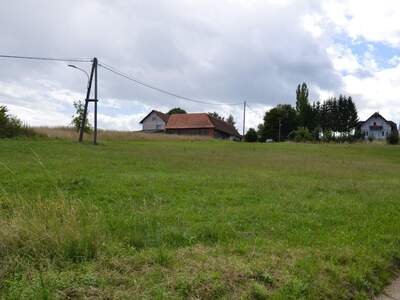 Gewerbeobjekt kaufen in 8511 Teipl (Bild 3)