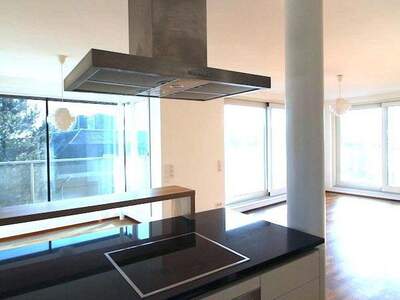 Terrassenwohnung mieten in 1190 Wien (Bild 4)