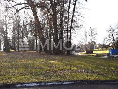 Grundstück kaufen in 4224 Wartberg (Bild 3)