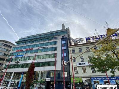 Gewerbeobjekt mieten in 1060 Wien