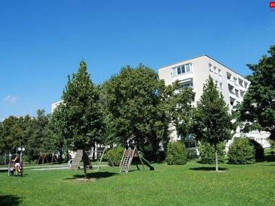 Wohnung mieten in 4020 Linz
