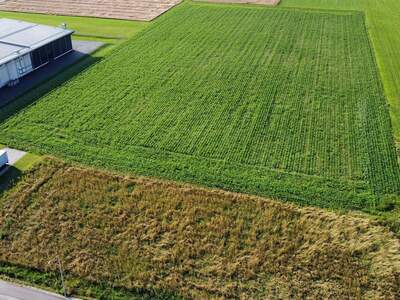 Gewerbeobjekt mieten in 8724 Spielberg