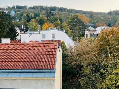 Wohnung provisionsfrei mieten in 1130 Wien