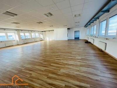 Gewerbeobjekt mieten in 2351 Wiener Neudorf (Bild 5)
