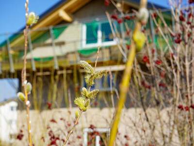 Haus mit Garten kaufen in 5204 Straßwalchen (Bild 4)
