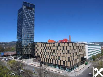 Gewerbeobjekt mieten in 4020 Linz (Bild 3)