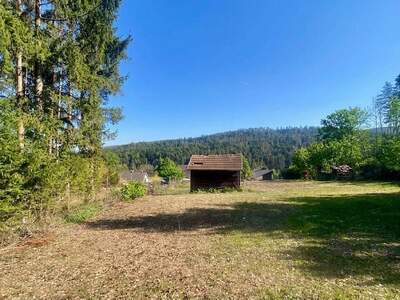 Grundstück kaufen in 2822 Walpersbach