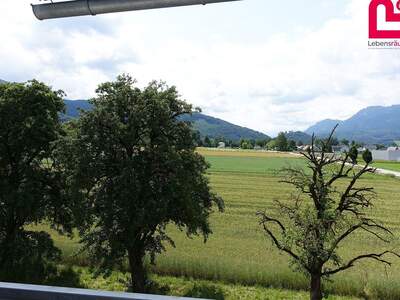 Mietwohnung in 4560 Kirchdorf (Bild 3)