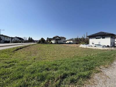 Anlageobjekt kaufen in 3250 Mühling