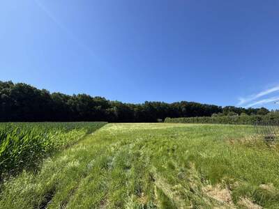 Grundstück kaufen in 8350 Fehring