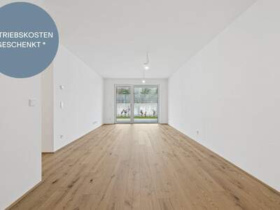 Anlageobjekt kaufen in 2540 Bad Vöslau