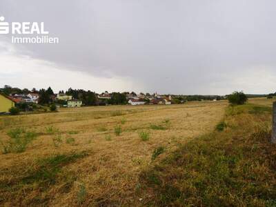 Grundstück kaufen in 2020 Magersdorf (Bild 1)