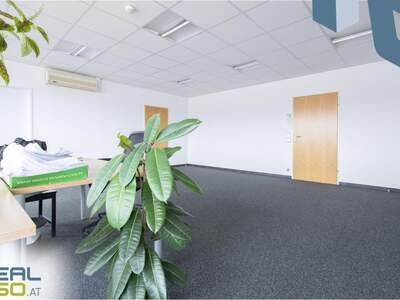 Gewerbeobjekt mieten in 4040 Linz (Bild 4)