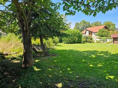 Grundstück kaufen in 4053 Ansfelden