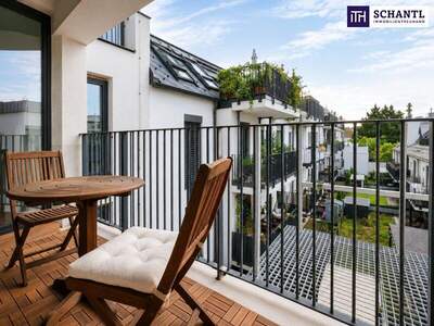 Terrassenwohnung mieten in 1230 Wien (Bild 1)