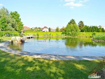 Terrassenwohnung mieten in 2401 Fischamend (Bild 2)