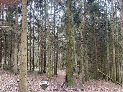 Jagd- und Forstwirtschaft kaufen in 3452 Atzenbrugg (Bild 3)