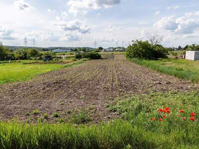 Grundstück kaufen in 7111 Parndorf