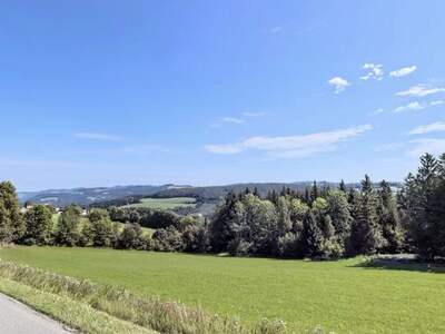Haus kaufen in 2870 Aspang Markt