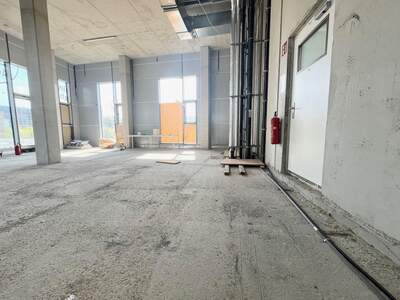 Gewerbeobjekt mieten in 8020 Graz (Bild 4)