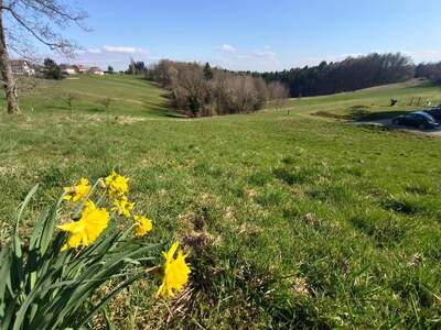 Grundstück kaufen in 8062 Kumberg