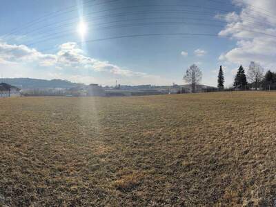 Gewerbeobjekt kaufen in 4150 Rohrbach (Bild 4)