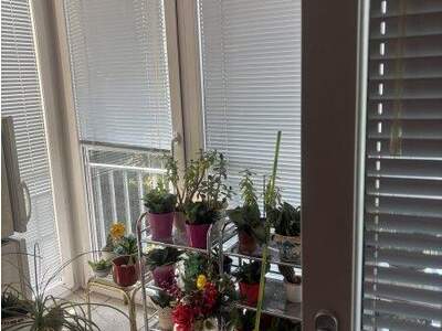 Terrassenwohnung mieten in 1140 Wien (Bild 4)