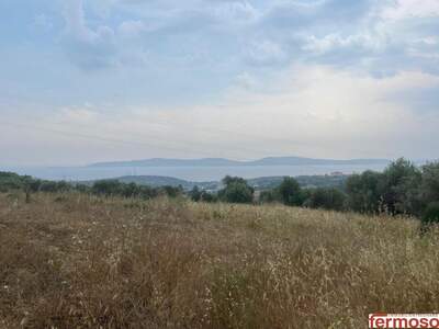 Gewerbeobjekt kaufen in 35970 Mordogan (Bild 5)