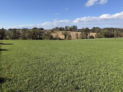 Grundstück kaufen in 4320 Pergkirchen