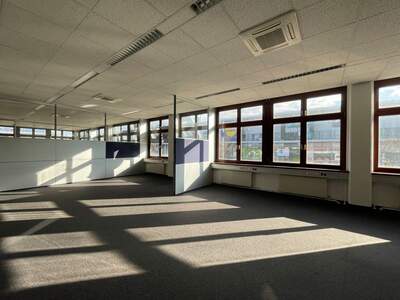 Gewerbeobjekt mieten in 1230 Wien (Bild 1)