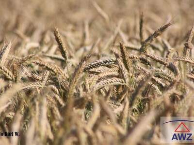 Gewerbeobjekt kaufen in 4753 Taiskirchen