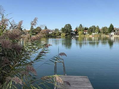 Anlageobjekt kaufen in 2333 Leopoldsdorf