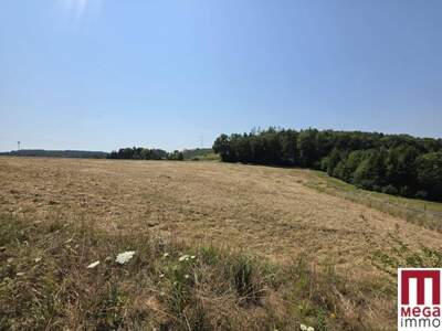 Grundstück kaufen in 8200 Gleisdorf