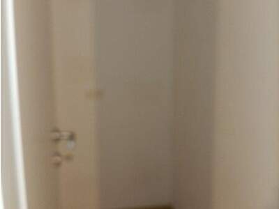 Mietwohnung in 3842 Thaya (Bild 5)