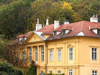 Wohnung kaufen in 1190 Wien