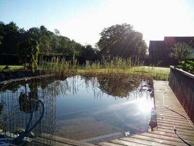 Haus kaufen in 4962 Mining (Bild 3)