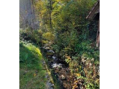 Bauernhaus kaufen in 9613 Feistritz (Bild 1)