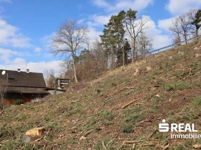 Grundstück kaufen in 4210 Gallneukirchen (Bild 4)