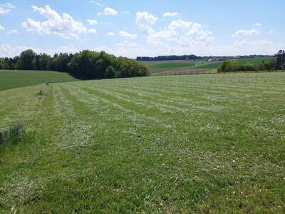 Gewerbeobjekt kaufen in 5261 Burgkirchen