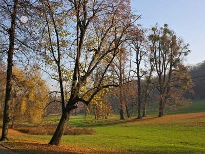 Grundstück kaufen in 1180 Wien (Bild 4)