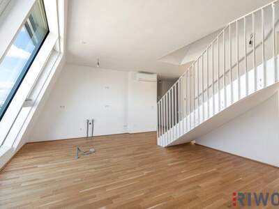 Terrassenwohnung kaufen in 1210 Wien (Bild 3)