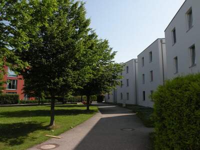 Apartment provisionsfrei mieten in 4600 Oberösterreich